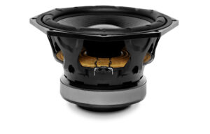 10NMFS, 10″ subwoofer, 700W, 8 ohms